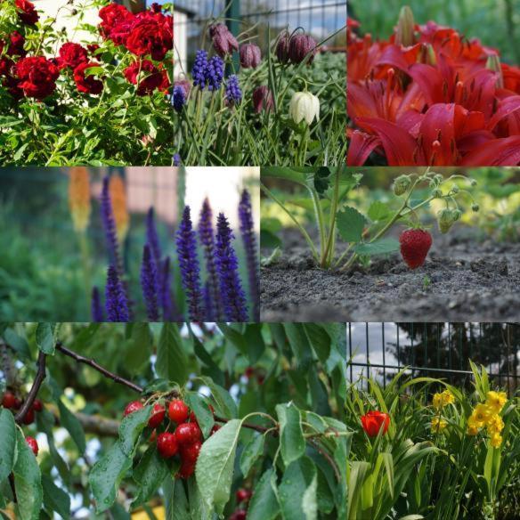 Gartenblick Trebbin מראה חיצוני תמונה