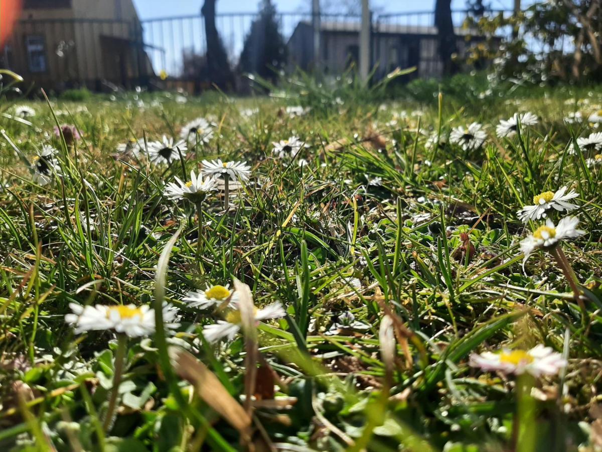 Gartenblick Trebbin מראה חיצוני תמונה