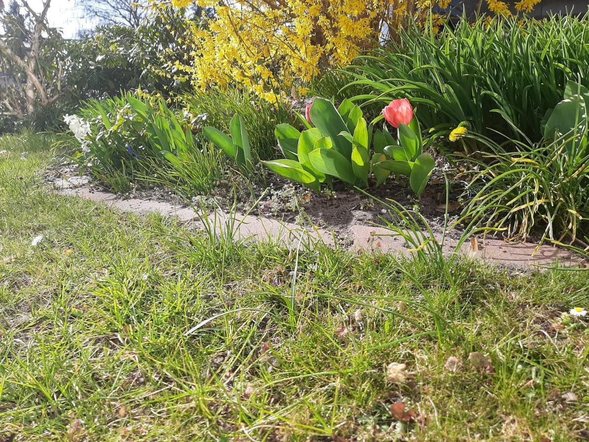 Gartenblick Trebbin מראה חיצוני תמונה